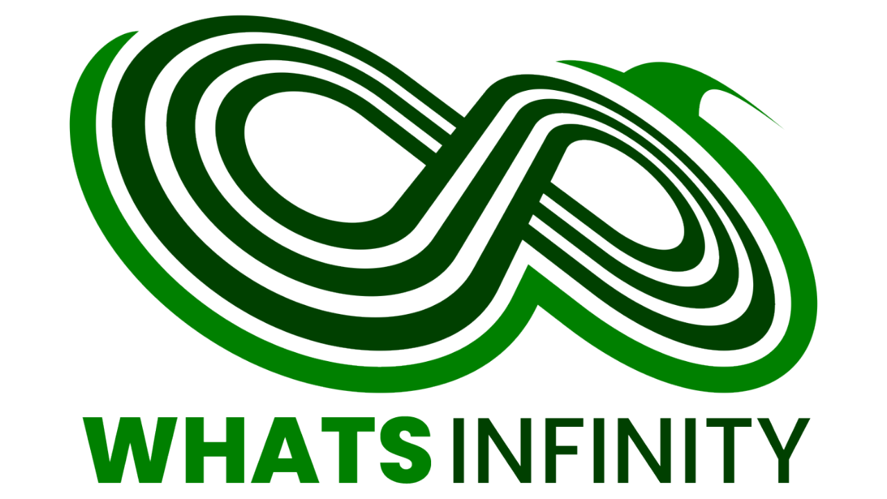 WhatsInfinity logo